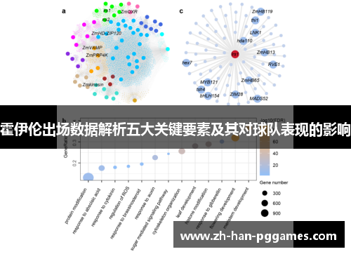 霍伊伦出场数据解析五大关键要素及其对球队表现的影响 霍伊伦出场数据解析五大关键要素及其对球队表现的影响